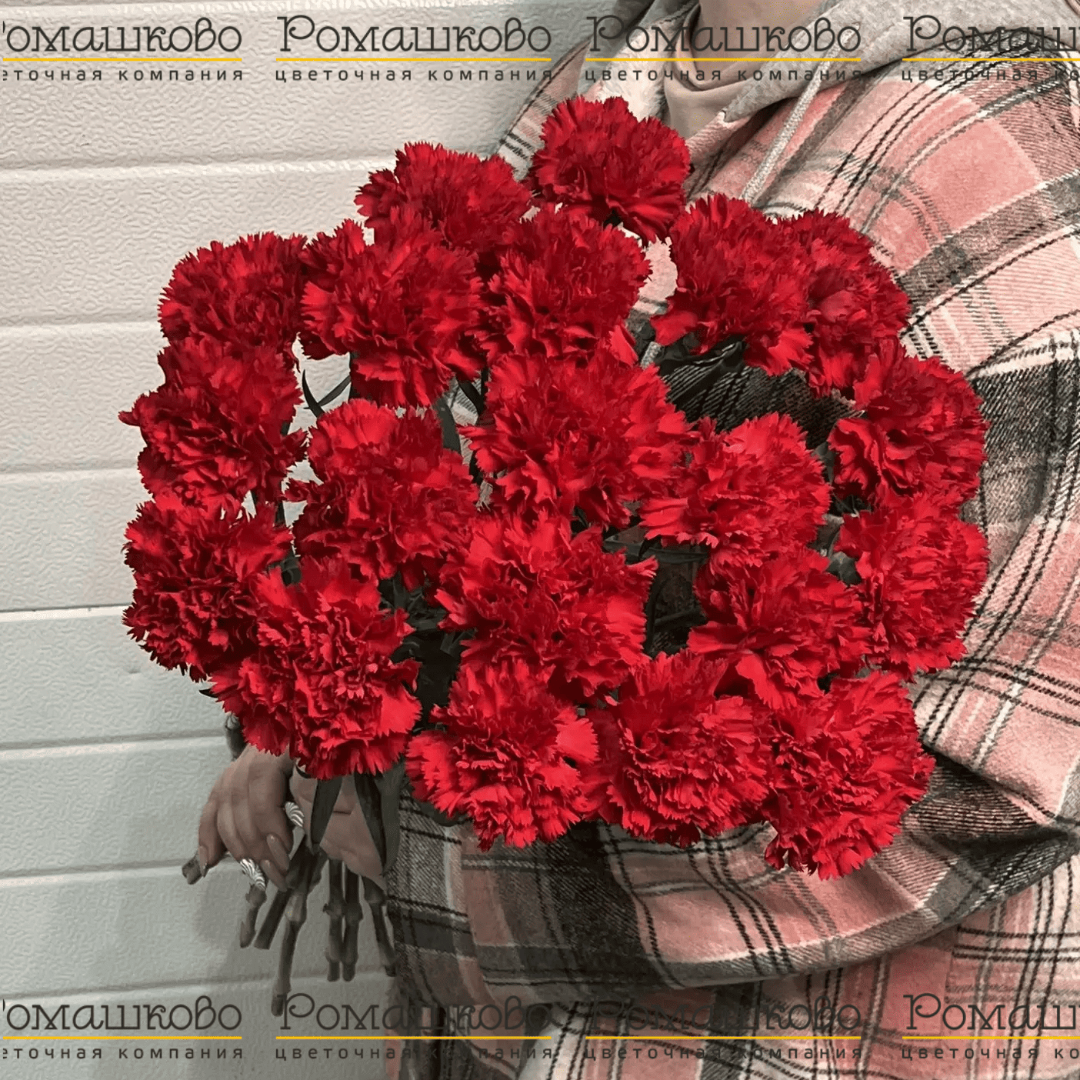 20 Красных гвоздик