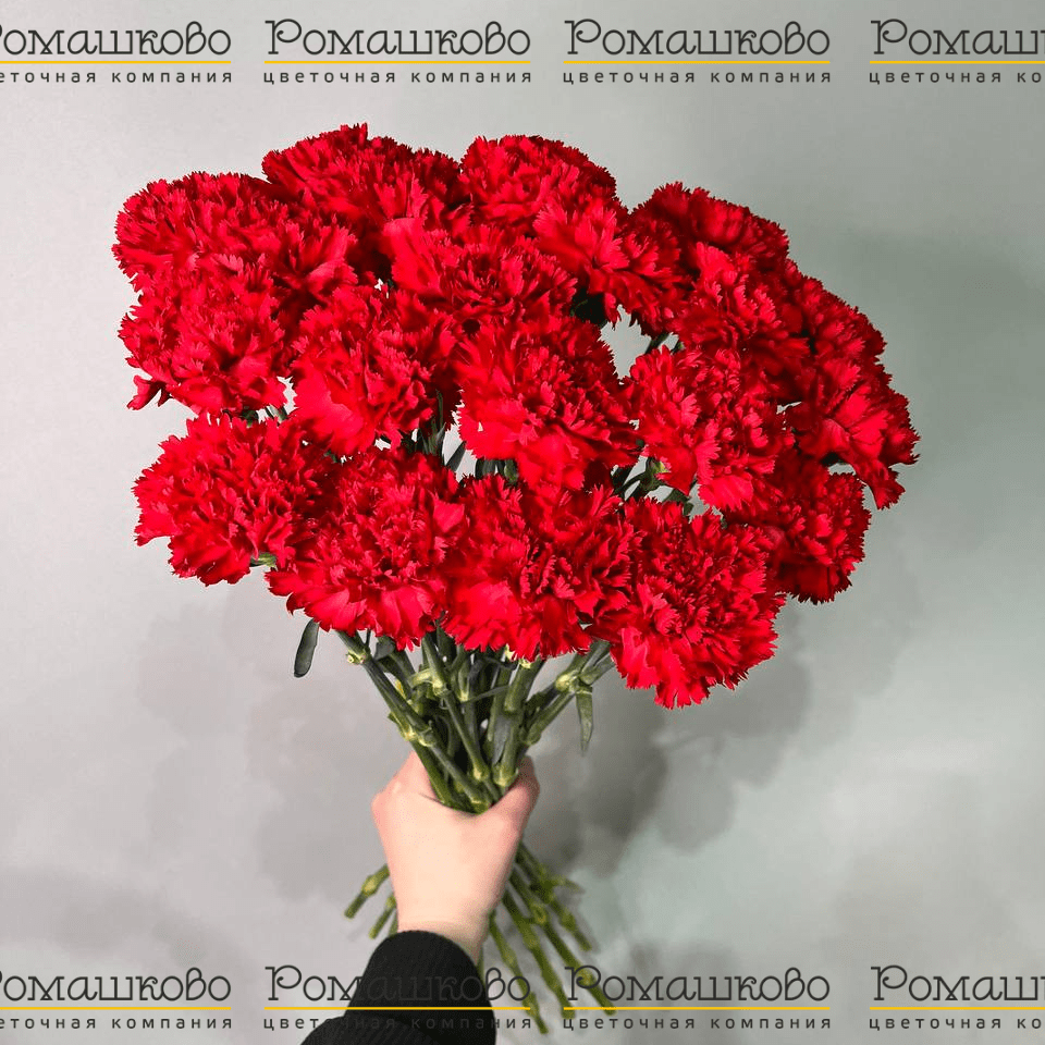 20 Красных гвоздик