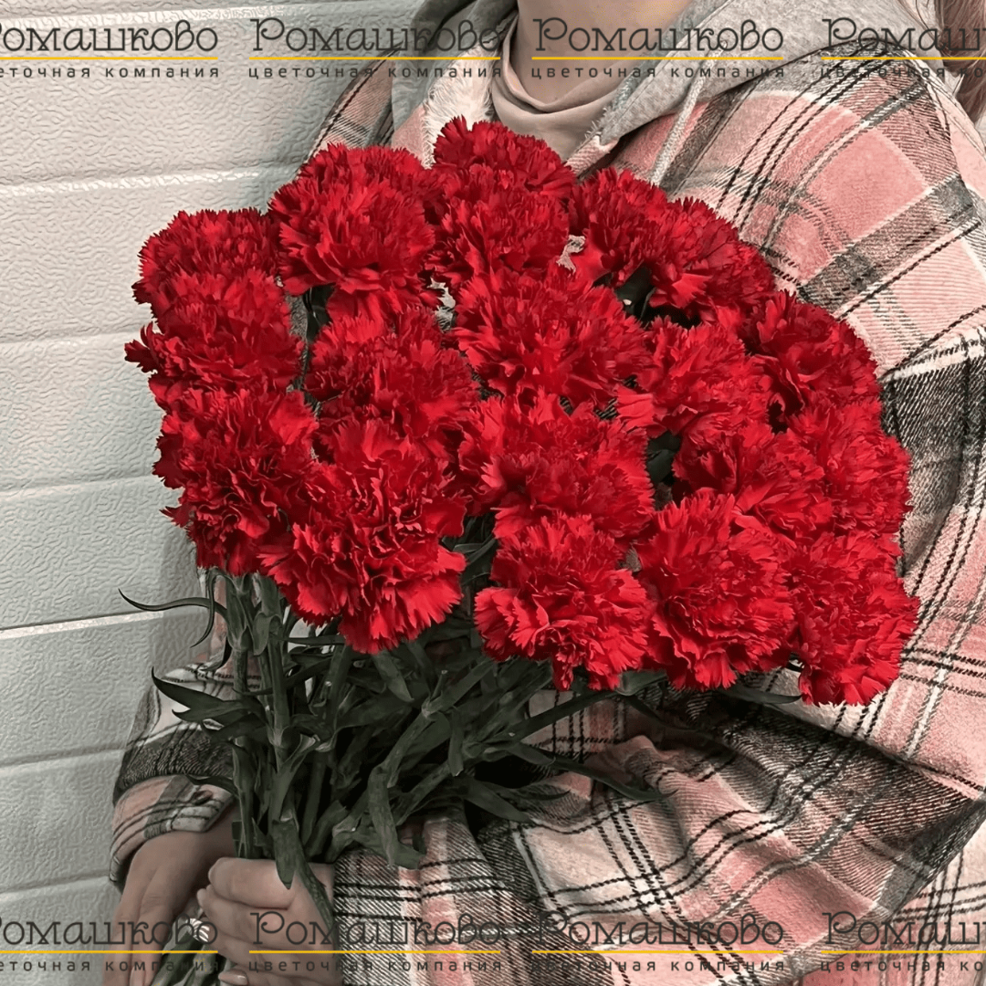20 Красных гвоздик