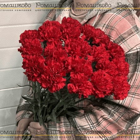 20 Красных гвоздик