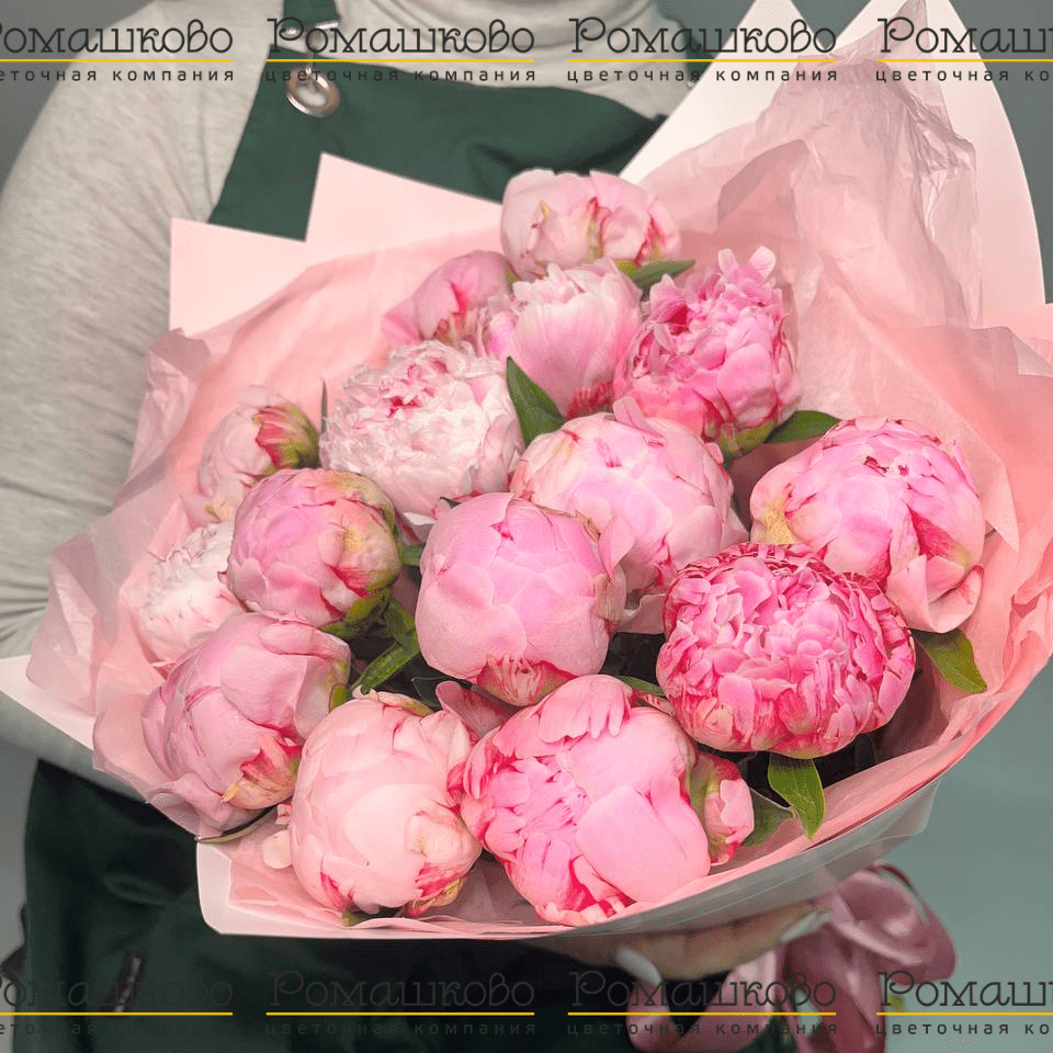 Букет из 15 Нежно-Розовых Пионов «Розовый бархат»
