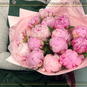 Превью Букет из 15 Нежно-Розовых Пионов «Розовый бархат»