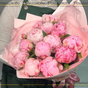 Превью Букет из 15 Нежно-Розовых Пионов «Розовый бархат»