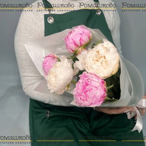 Превью Букет из 5 Бело-Розовых Пионов «Пионовый шик»