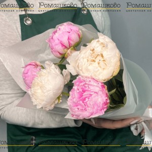 Превью Букет из 5 Бело-Розовых Пионов «Пионовый шик»