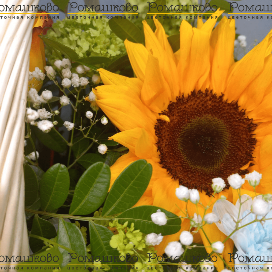 Корзина с цветами «Сад в корзинке»