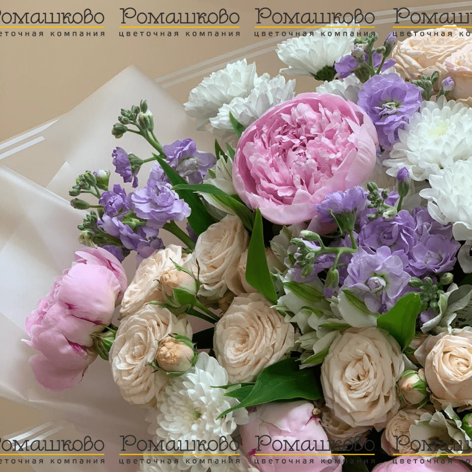 Букет из пионов «Нежный бутон»