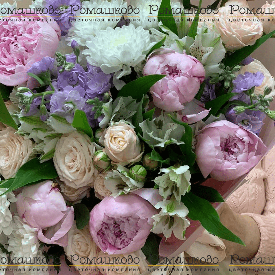 Букет из пионов «Нежный бутон»