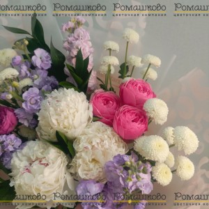Превью Букет из пионов «Нежность лепестков»