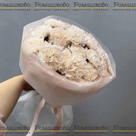 Букет из гвоздик «Облако чувств»