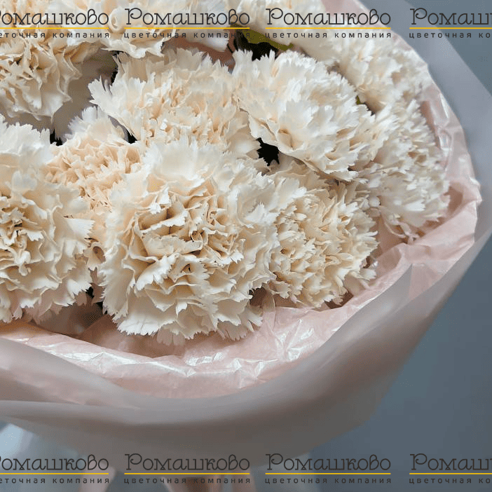 Букет из гвоздик «Облако чувств»