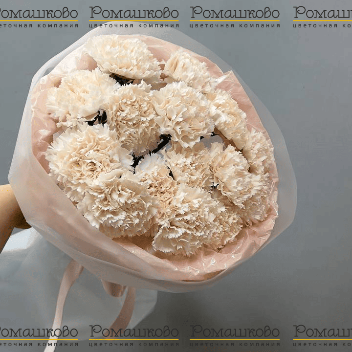 Букет из гвоздик «Облако чувств»