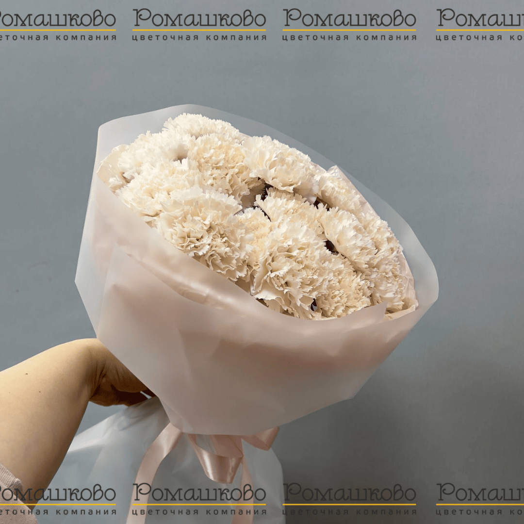 Букет из гвоздик «Облако чувств»