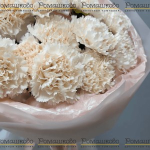 Превью Букет из гвоздик «Облако чувств»