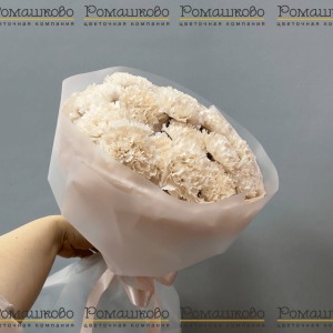 Превью Букет из гвоздик «Облако чувств»