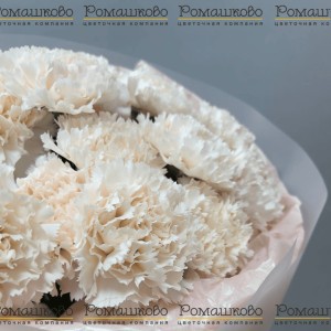 Превью Букет из гвоздик «Облако чувств»