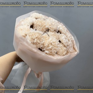 Превью Букет из гвоздик «Облако чувств»