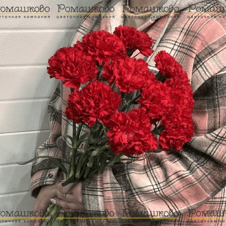 10 Красных гвоздик