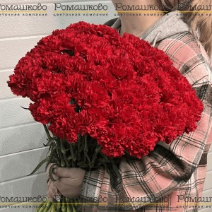 Превью 40 Красных гвоздик