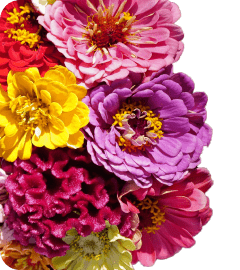 Композиции